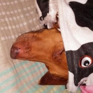 Meet your Posher, Beatriz